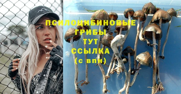 шишки Армянск