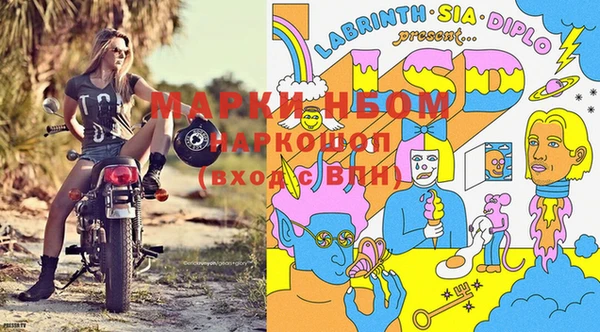 шишки Армянск