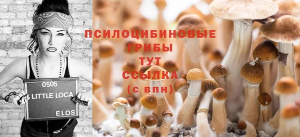 шишки Армянск