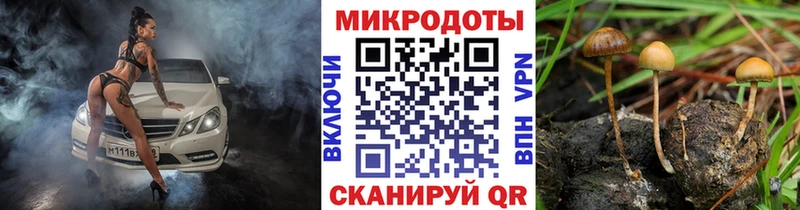 Псилоцибиновые грибы мухоморы  Саров 